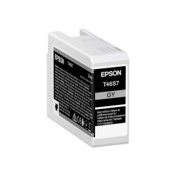 Cartuccia C13T46S700 EPSON grigio 25 ML - originale | stampaperfetta.it