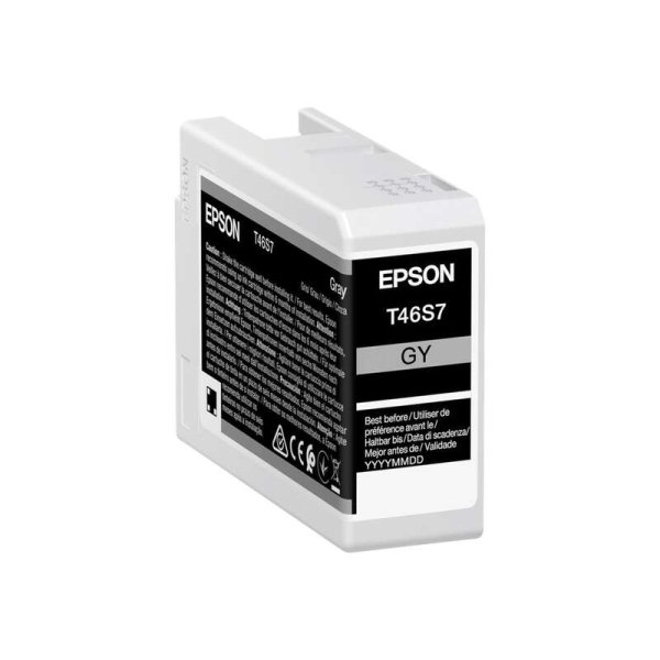 Cartuccia C13T46S700 EPSON grigio 25 ML - originale | stampaperfetta.it