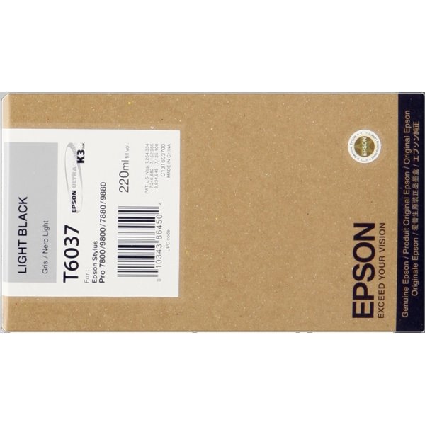 Cartuccia C13T603700 EPSON nero chiaro 220 ML - originale | stampaperfetta.it