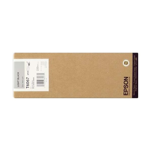 Cartuccia C13T606700 EPSON nero chiaro 4000 PAGINE - originale | stampaperfetta.it