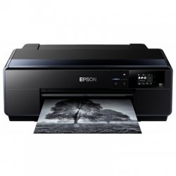 Cartucce Epson SURECOLOR SC-P600 - Prezzi Bassi, Spedizione Rapida