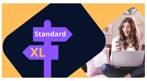 Differenze tra cartucce di stampa Standard e XL